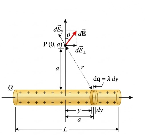 細棒中垂線上的電場示意圖